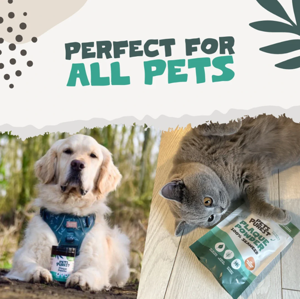 NEW! Pets Purest Natural Plaque Removal Powder 100g Pouch