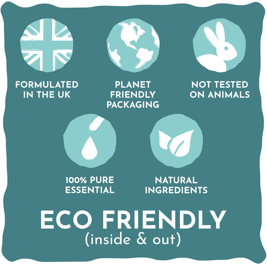 Siampŵ Cariad Ci Bach Gwyllt i Gŵn Bach 