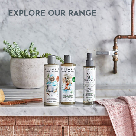 infographic cat shampoo