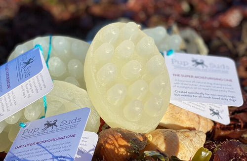 Pup Suds Massaging Anti-Stink Anti-Fox Poo Dog Shampoo Bar