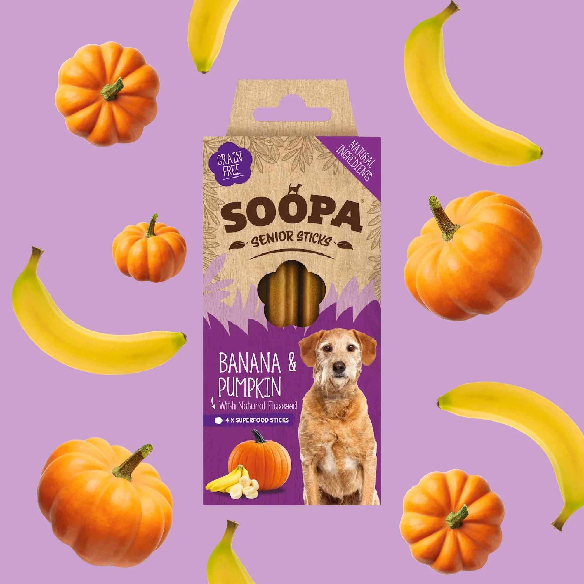 Soopa Banana & Pumpkin SENIOR Dental Sticks