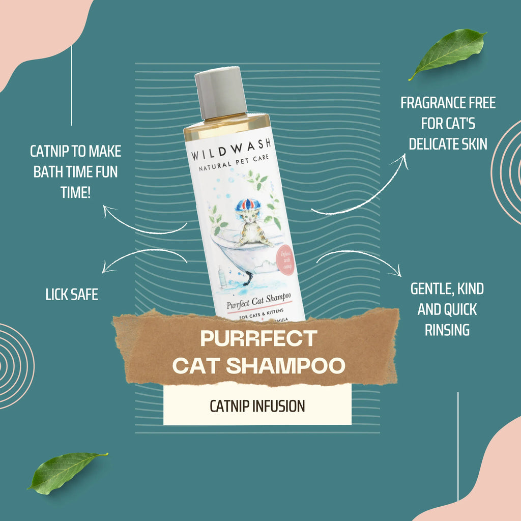 infographic cat shampoo