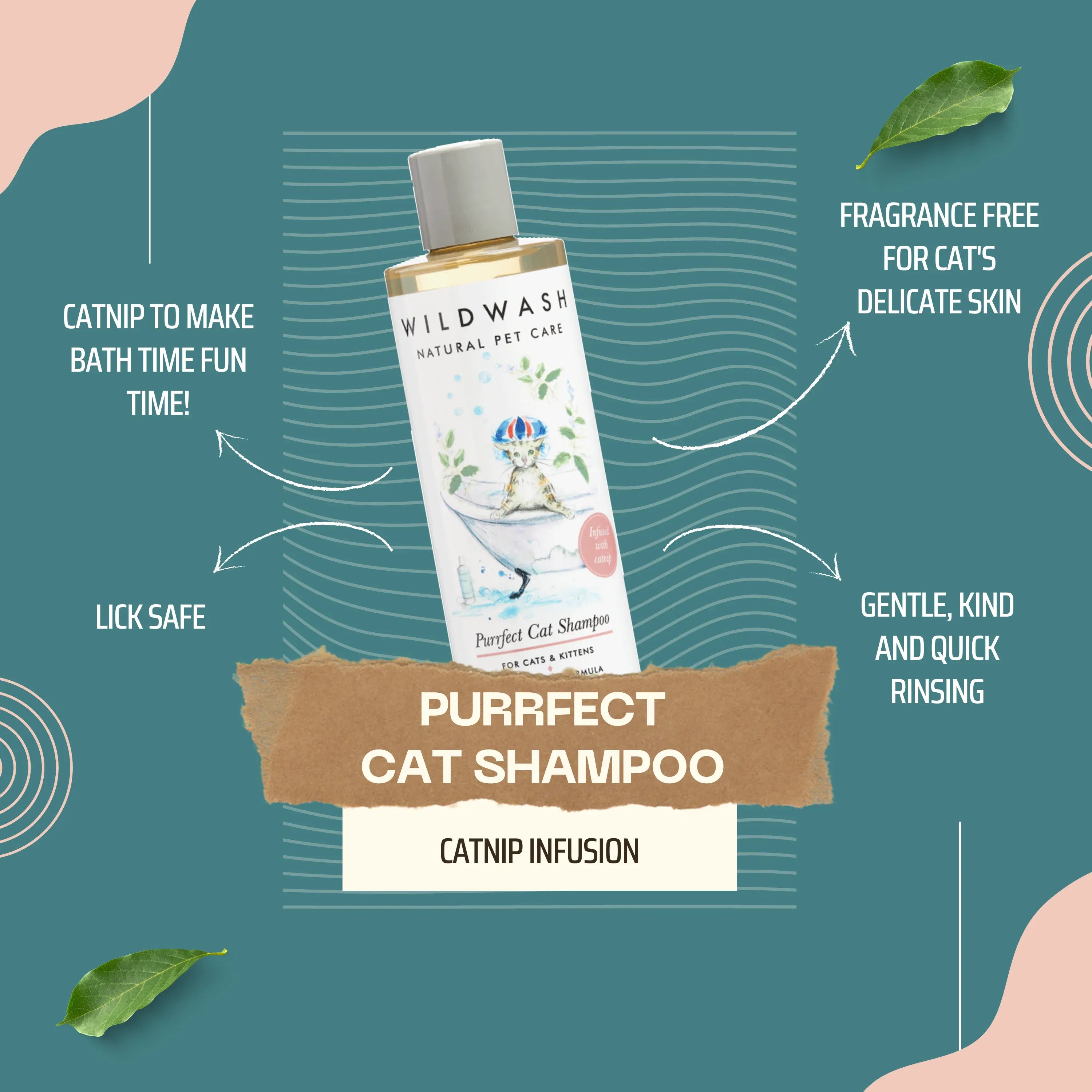 infographic cat shampoo