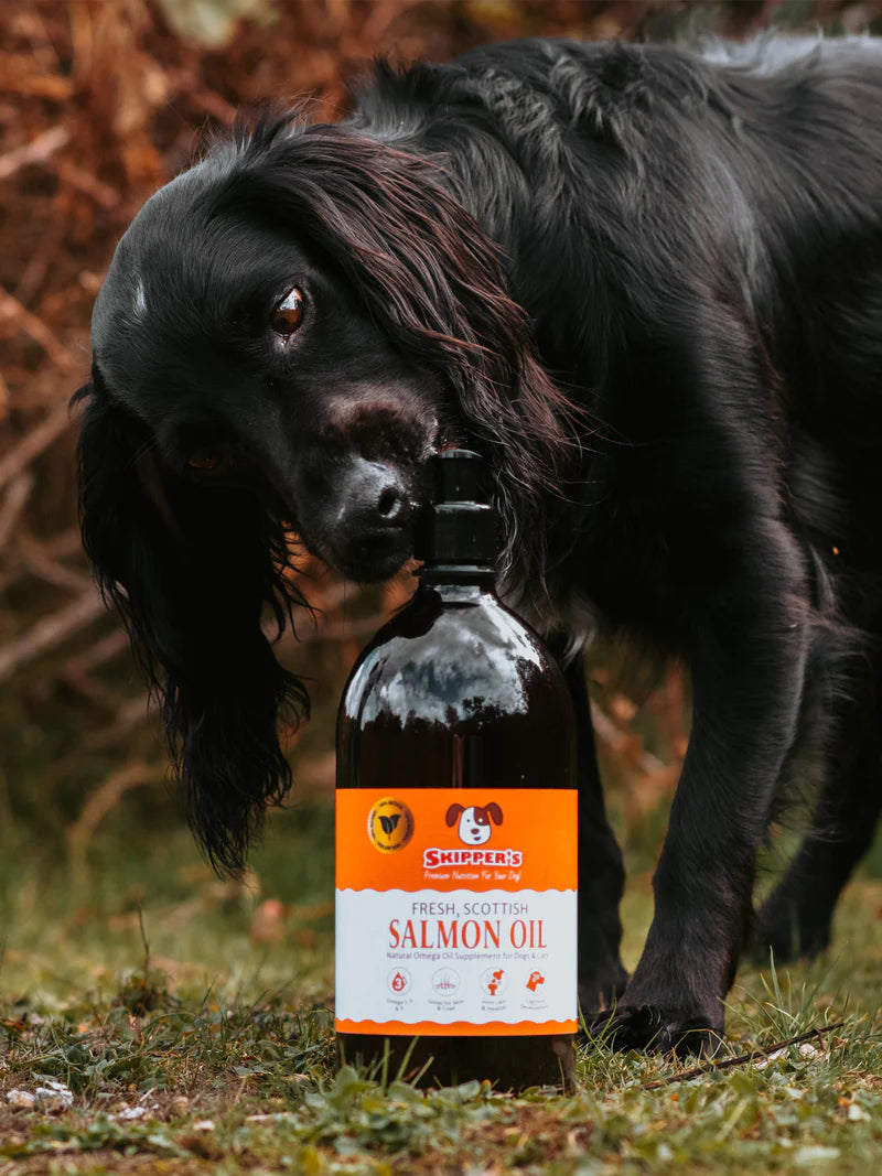 Skipper's Salmon Oil for Cats and Dogs 250ml