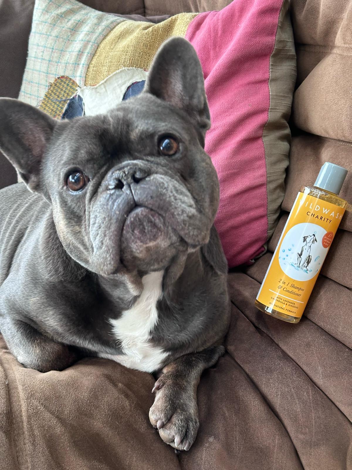 WildWash Charity Dog Shampoo & Conditioner