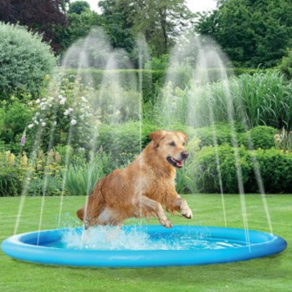 WufWuf & Smart Choice Splash Pool & Sprinkler