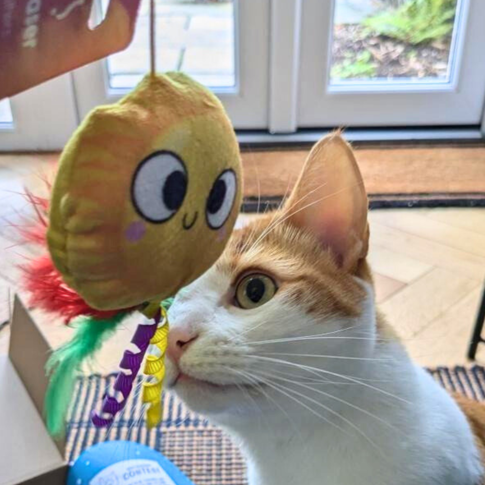 Teaser Cat Plush Cleiteach MyMeow &amp; World of Peataí