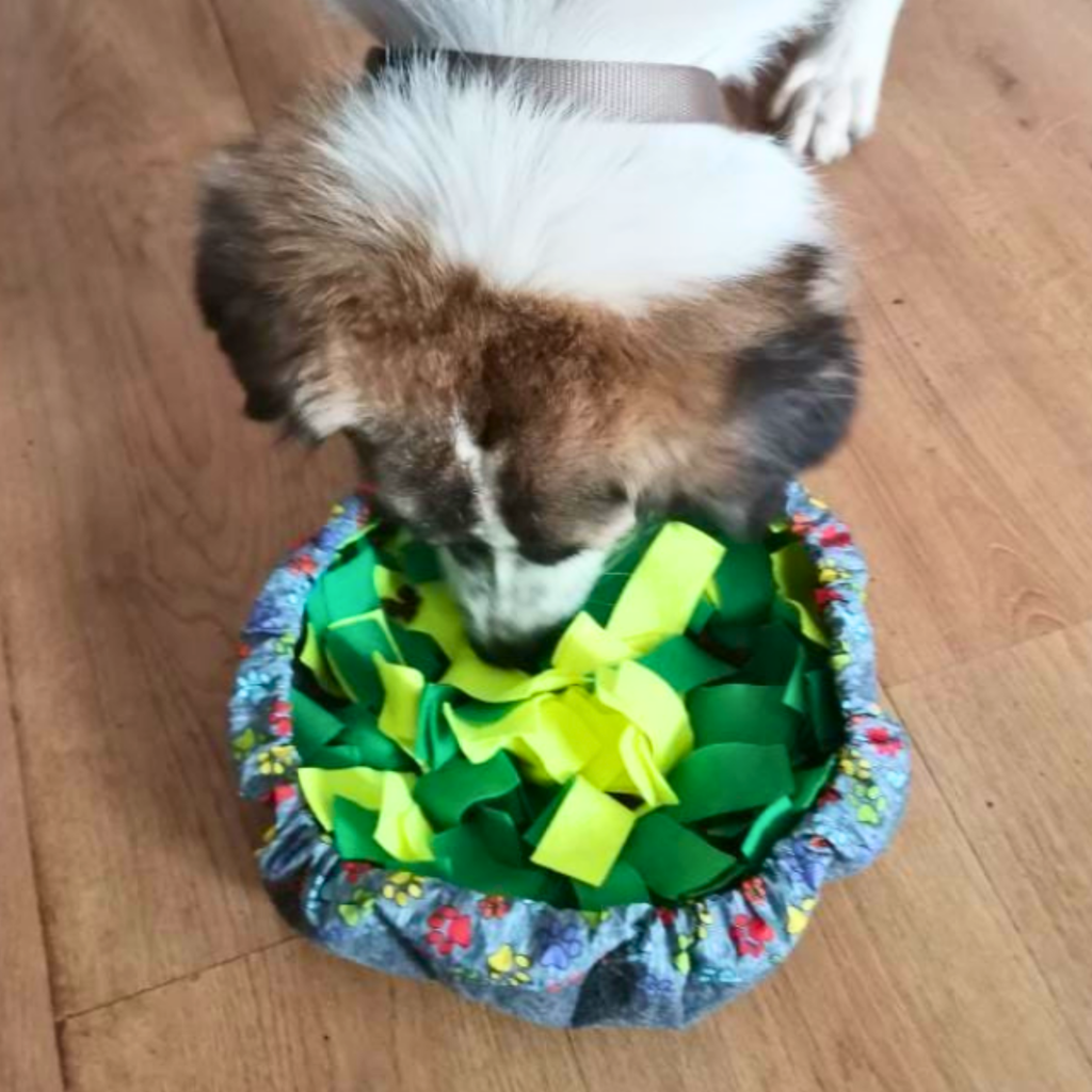 WufSalad Snuffle Mat Interactive Dog Toy
