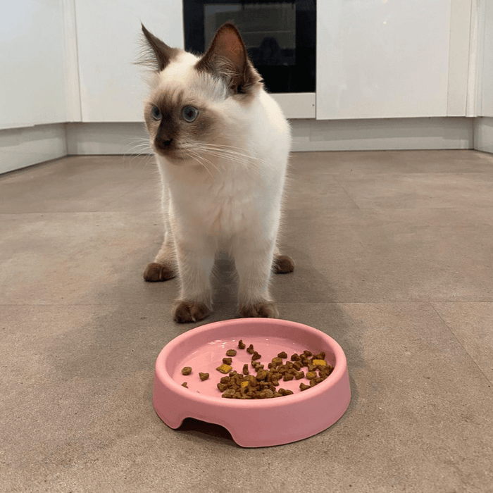 Beco Steady Cat Bowl