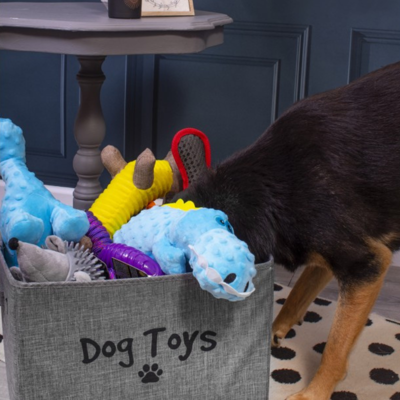 Bosca Bréagán Madraí Fillte WufWuf &amp; Rogha Cliste, Liath