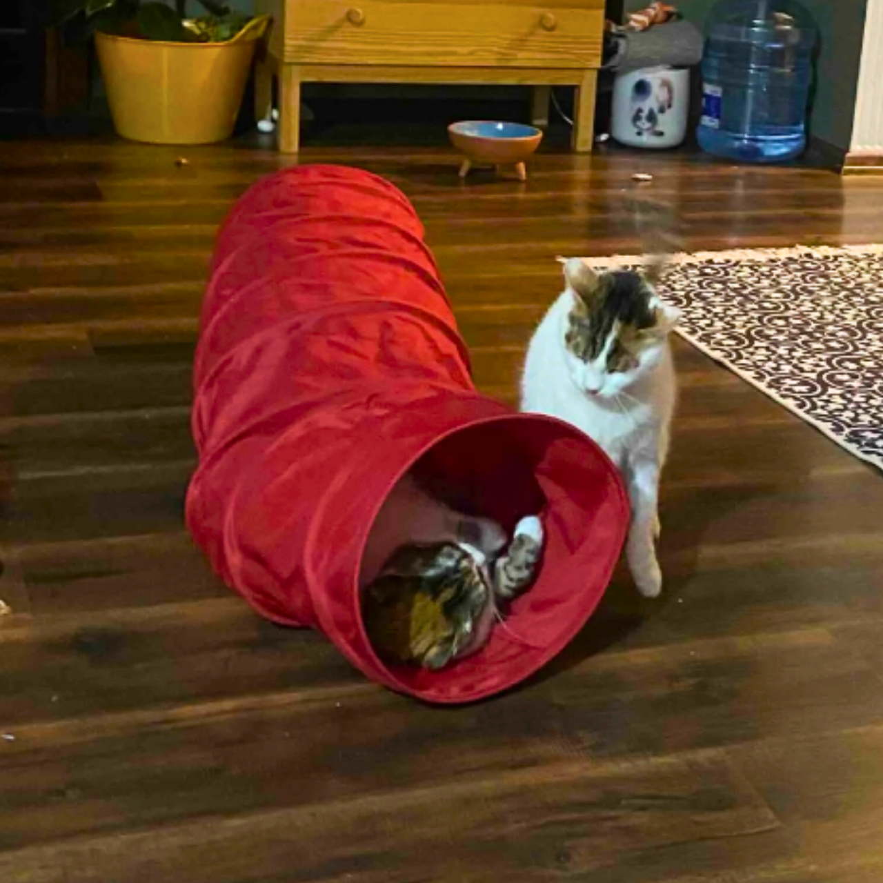 MyMeow Interactive Strengthened Red Long Cat Tunnel, 125cm