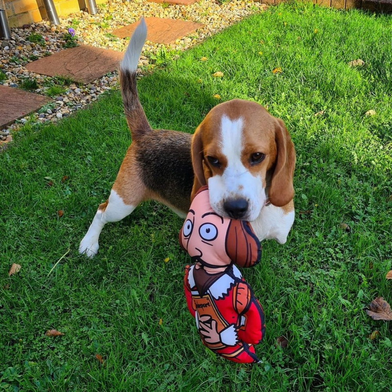 WufWuf Shakespeare Squeaky Plush Dog Toy, The Bard's Bark!