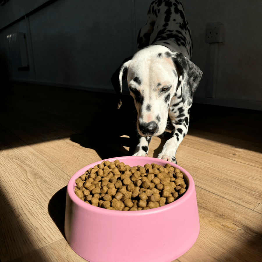 Beco Babhla Madraí Seasmhach Bándearg Candy