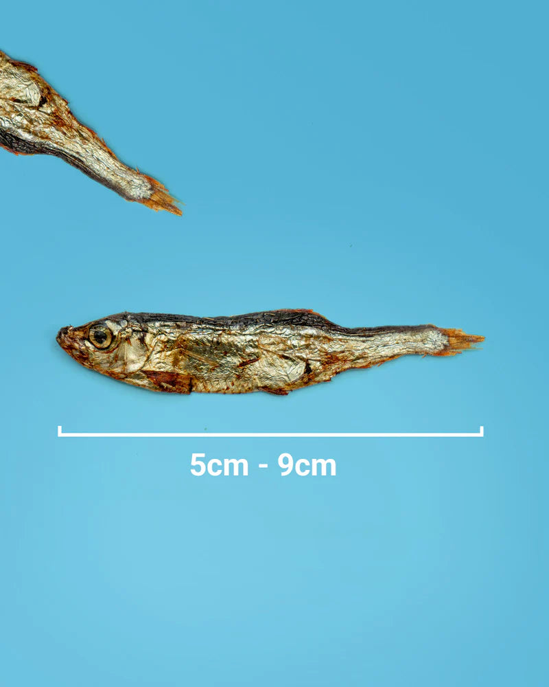 Sprats Sych y Gwibiwr 70g