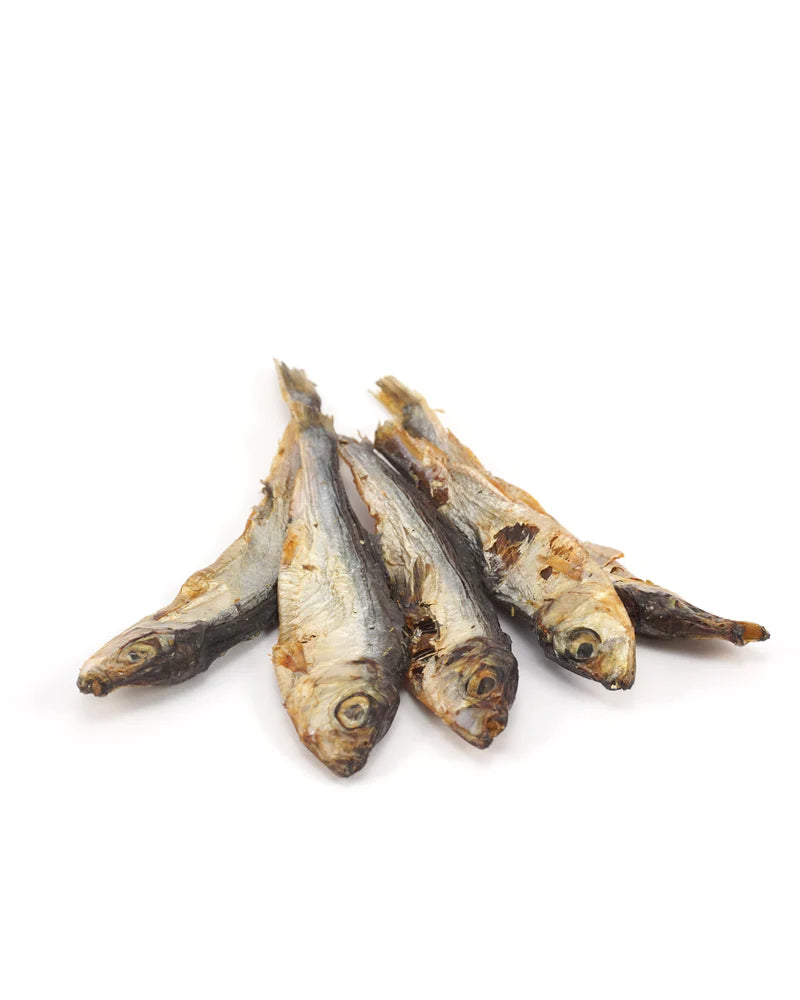Sprats Sych y Gwibiwr 70g