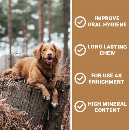 Pets Purest Small Natural Antler Chew - Two Pack