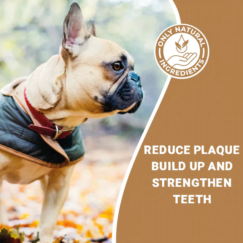 Pets Purest Small Natural Antler Chew - Two Pack