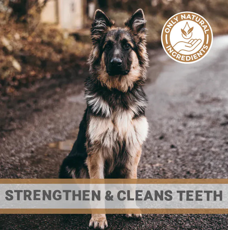 Pets Purest Small Natural Antler Chew - Two Pack