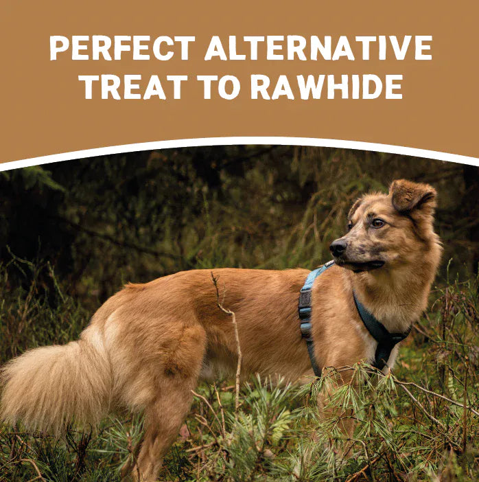 Pets Purest Small Natural Antler Chew - Two Pack