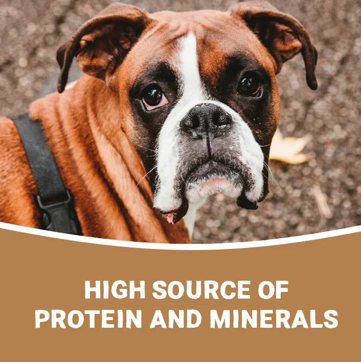 Pets Purest Small Natural Antler Chew - Two Pack