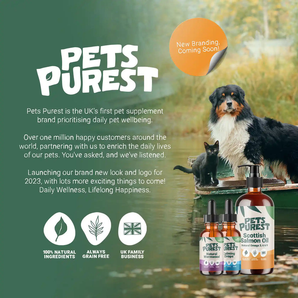 Anifeiliaid Anwes Purest 100% Sych Sych Naturiol