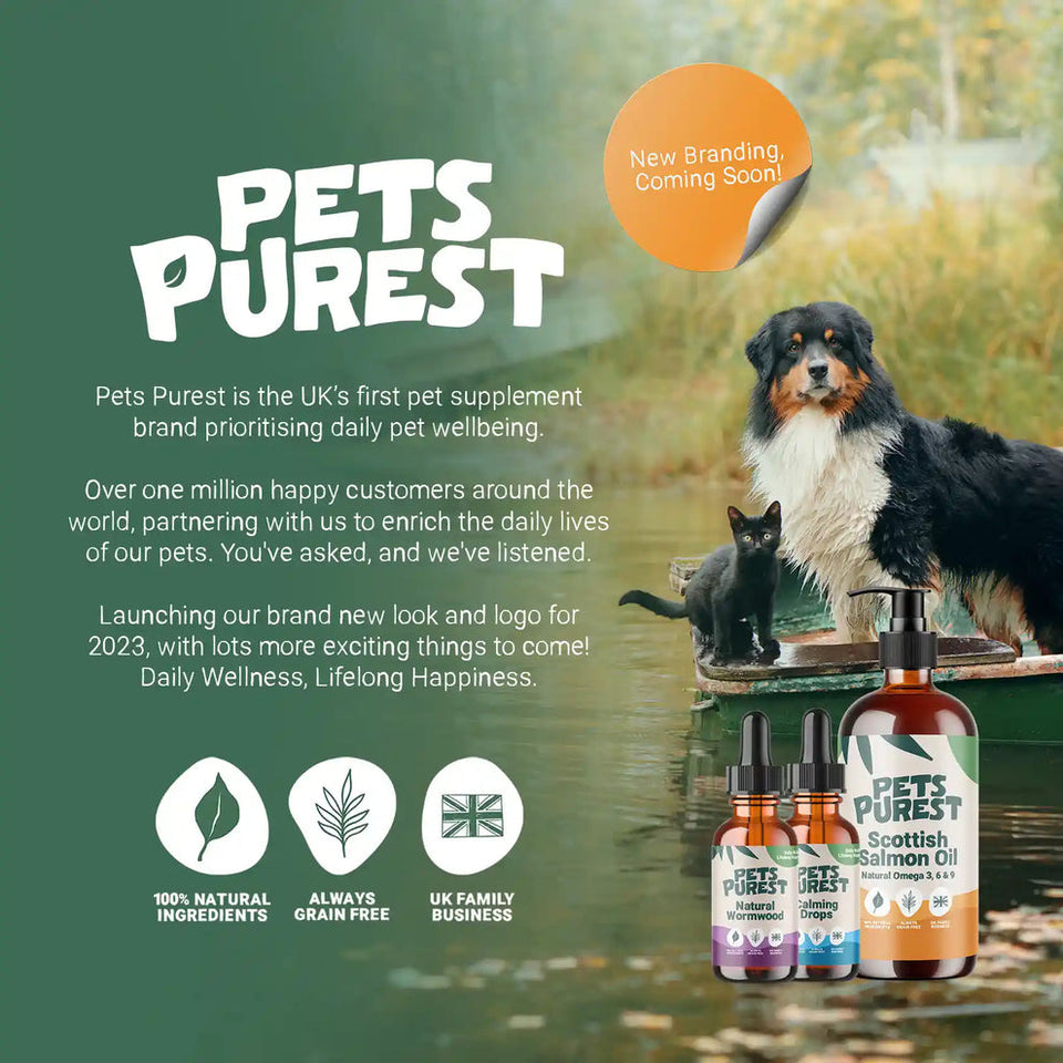 Pets Purest Small Natural Antler Chew - Two Pack