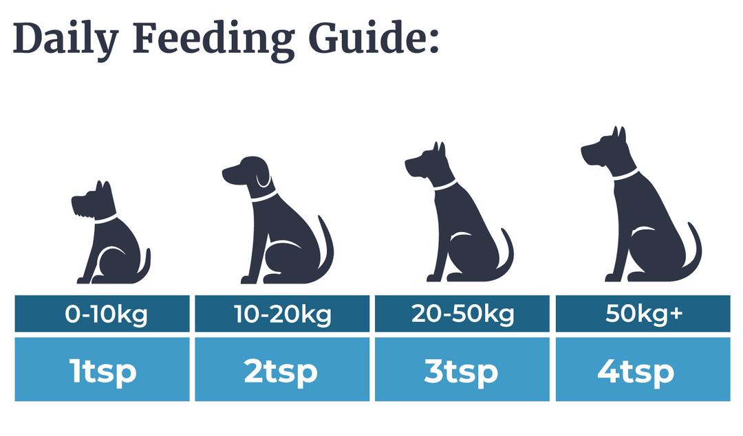 Olew Eog y Gwibiwr ar gyfer Cathod a Chŵn 250ml