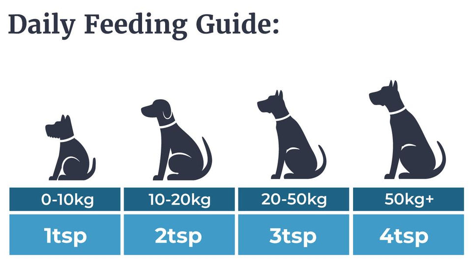 Olew Eog y Gwibiwr ar gyfer Cathod a Chŵn 250ml