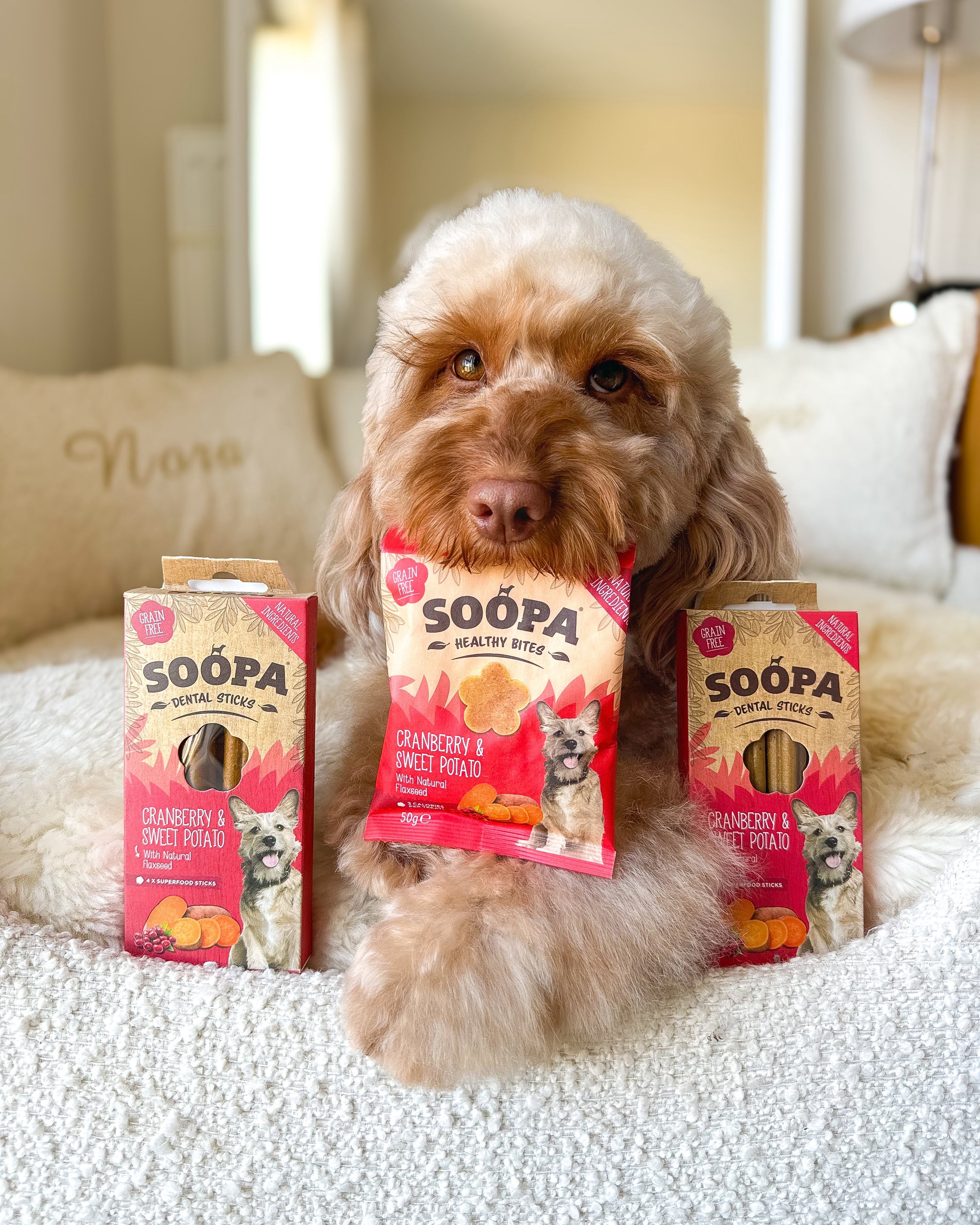 Soopa Cranberry & Sweet Potato Healthy Bites