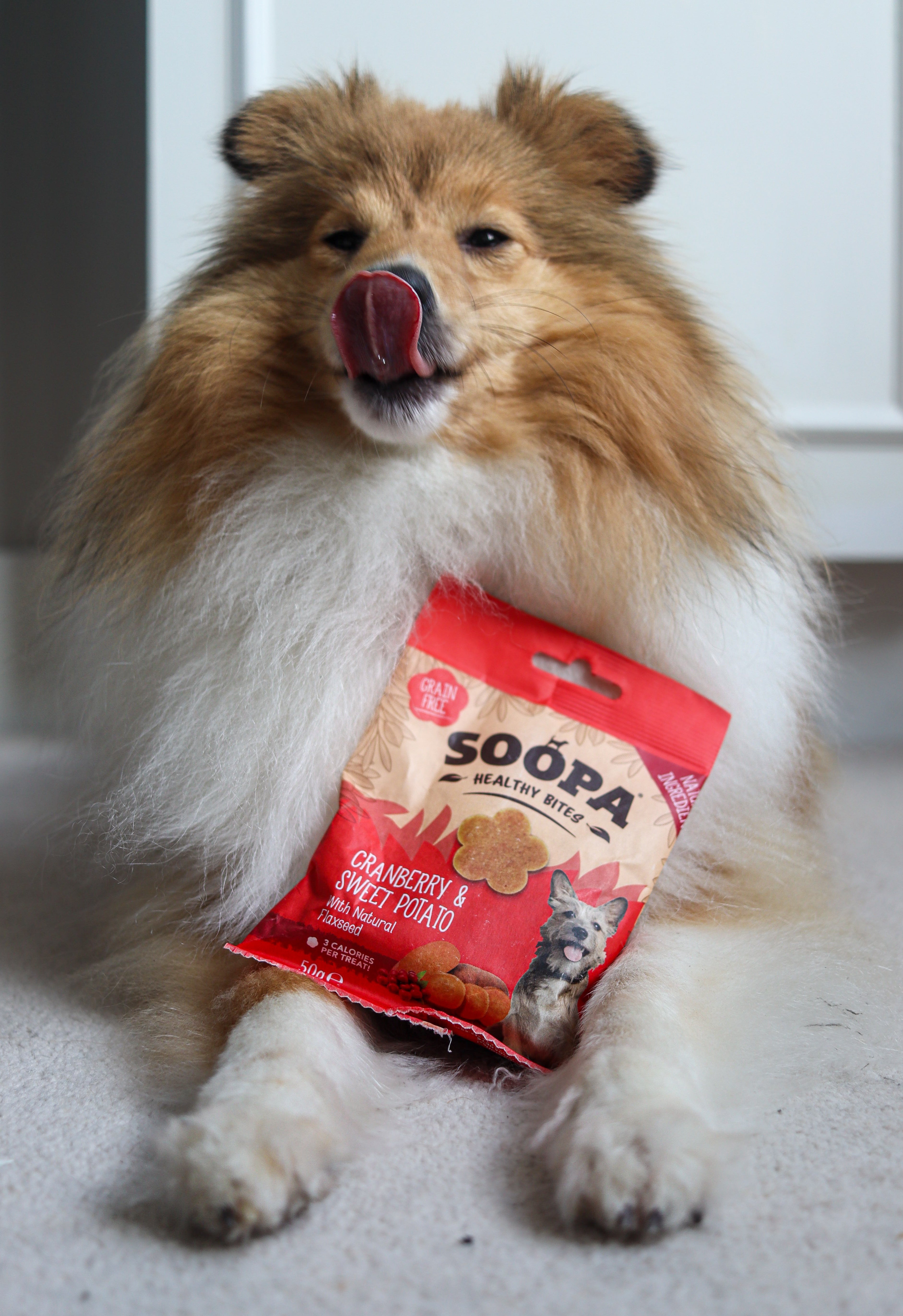 Giotáin Shláintiúla Mónóg Sópa &amp; Prátaí Milse