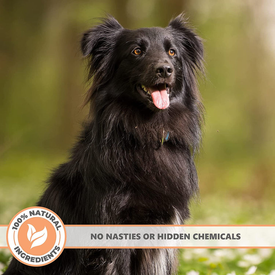 Peataí Titeann Maolaithe Nádúrtha is Pure (do chait agus madraí)