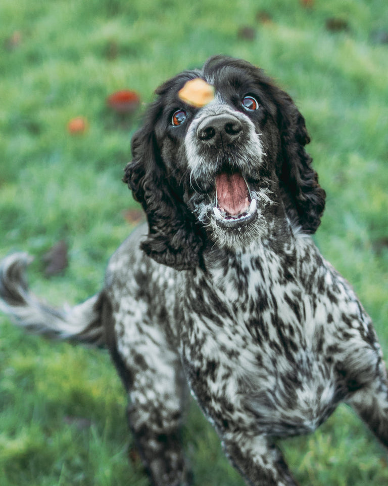 Skipper's Luxury White Fish Cubes 250g