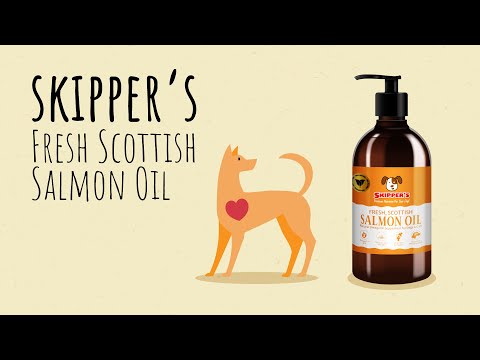 Olew Eog y Gwibiwr ar gyfer Cathod a Chŵn 250ml