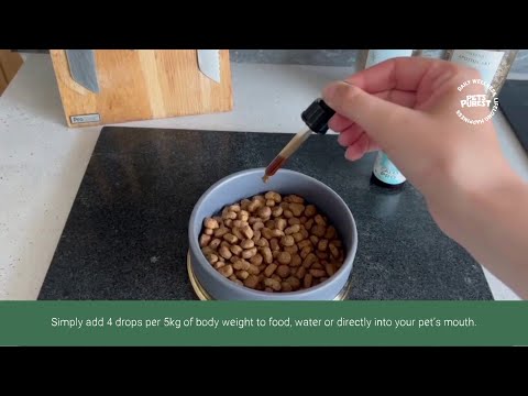 Anifeiliaid anwes Diferion Tawelu Naturiol Puraf (ar gyfer cathod a chŵn)