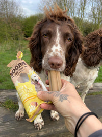 brown dog eats soopa banana and peanut butter stick 
